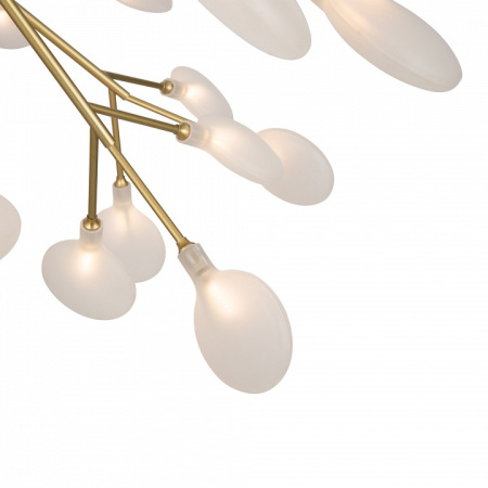 Фото Потолочная люстра Freya Florencia FR5049CL-27G