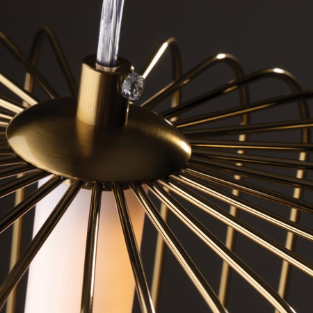 Фото Подвесной светильник Freya Sabi FR6131PL-L13BS