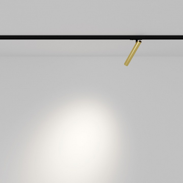 Фото Светильник на штанге Maytoni Focus T TR141-1-6W3K-M-BS