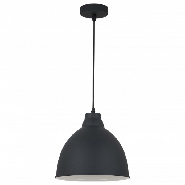 Фото Подвесной светильник Arte Lamp Braccio A2055SP-1BK