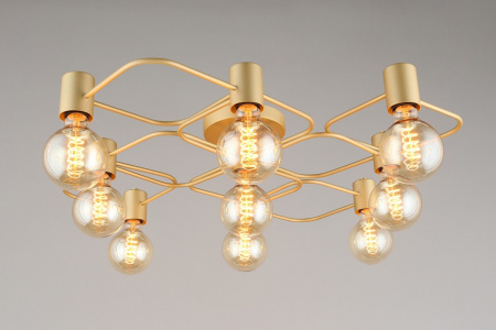 Фото Потолочная люстра Aployt Elison APL.911.07.09