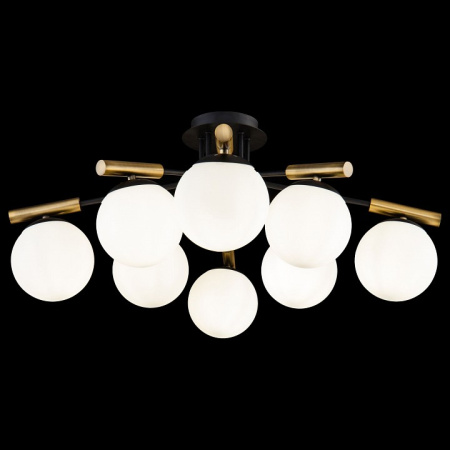 Фото Потолочная люстра Freya Paolina FR5011CL-08B