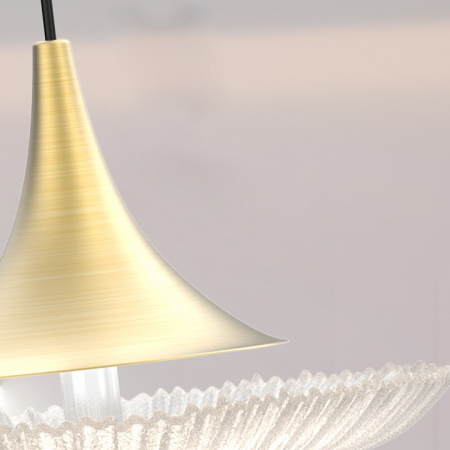 Открыть Подвесной светильник Favourite Wilet 4657-1P Фото Подвесной светильник Favourite Wilet 4657-1P