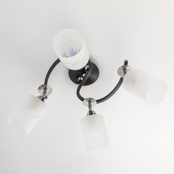 Фото Потолочная люстра Citilux Сиерра CL119241