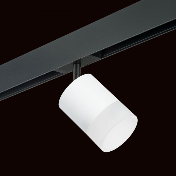 Фото Светильник на штанге Lightstar Rullo PRO348681