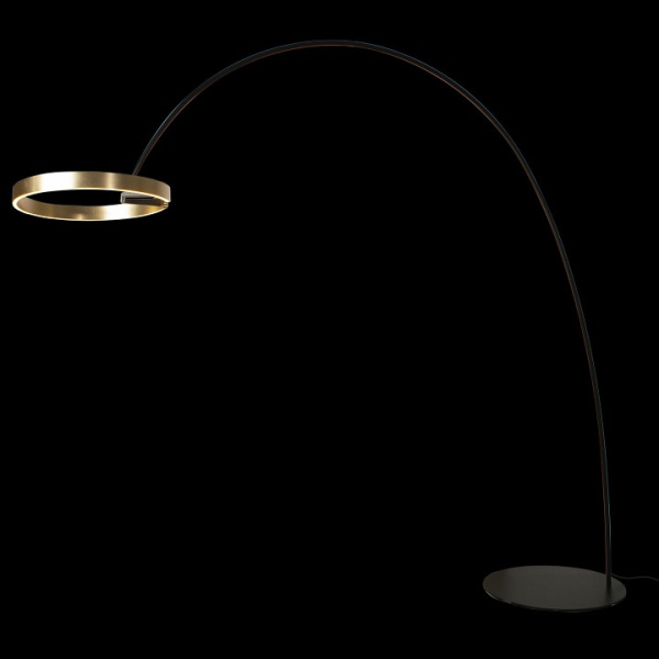 Открыть Торшер Loft it Ring 10027 Фото Торшер Loft it Ring 10027