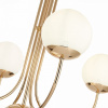 Фото Подвесная люстра ST-Luce Avellino SL1504.203.05