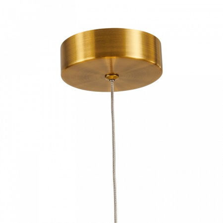 Фото Подвесной светильник Favourite Cattivo 4451-1P