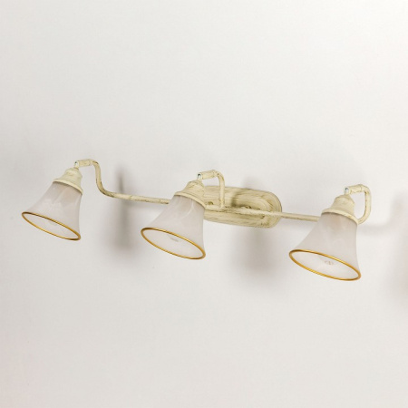 Фото Спот Citilux Прованс CL511534