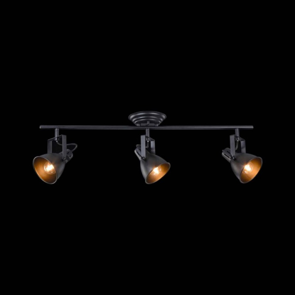 Фото Спот Freya Ibbi FR4276-CW-03-B