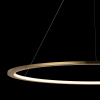 Фото Подвесной светильник Loft it Ring 10014L