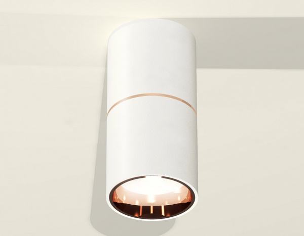 Фото Накладной светильник Ambrella Light XS XS6301083
