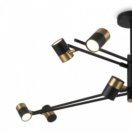 Фото Люстра на штанге Freya Enzo FR5201PL-10B