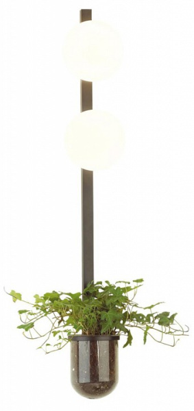 Открыть Бра Odeon Light Flower 4681/2WA Фото Бра Odeon Light Flower 4681/2WA