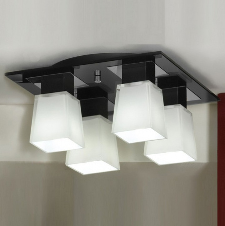 Фото Накладной светильник Lussole Lente LSC-2507-04