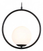 Подвесной светильник Ambrella Light TR TR2592 Подвесной светильник Ambrella Light TR TR2592