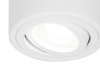 Открыть Накладной светильник Ambrella Light TN TN225 Фото Накладной светильник Ambrella Light TN TN225