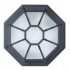 Открыть Накладной светильник Arte Lamp Pegasus A3100PL-1BK Фото Накладной светильник Arte Lamp Pegasus A3100PL-1BK