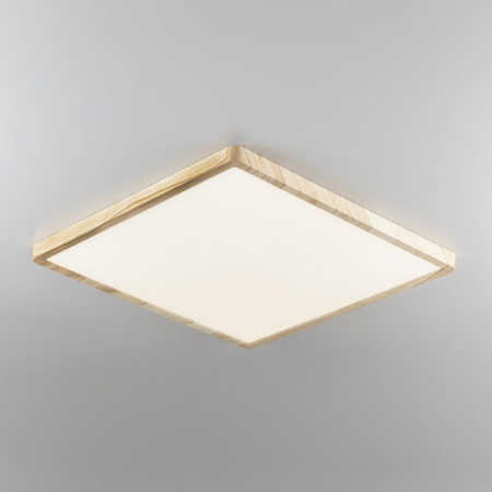 Фото Накладной светильник Citilux Бейсик CL738K502V