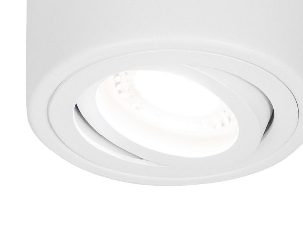 Фото Накладной светильник Ambrella Light TN TN225