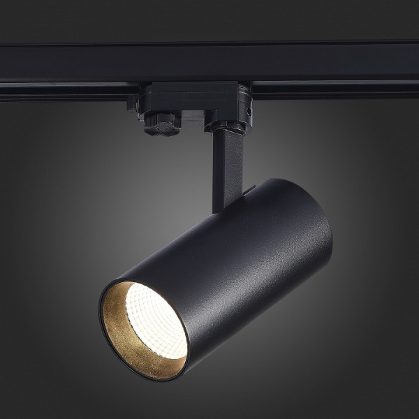 Фото Светильник на штанге ST-Luce Трехфазная трековая система ST661.446.30