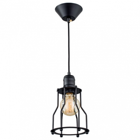 Фото Подвесной светильник Citilux Эдисон CL450201