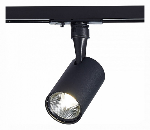 Фото Светильник на штанге ST-Luce Cami ST351.446.10.36