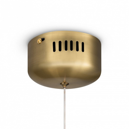 Фото Подвесной светильник Freya Pina FR5387PL-L14.5BS1