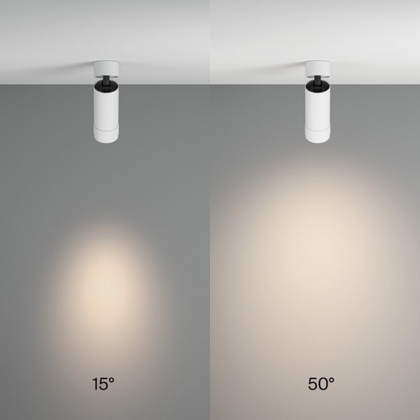 Фото Накладной светильник Maytoni Focus Zoom C055CL-L12W4K-Z-W