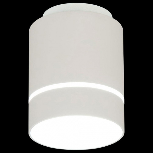 Фото Накладной светильник Citilux Борн CL745010N