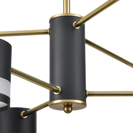 Фото Люстра на штанге Lumion Lanika 8240/6C