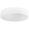 Накладной светильник Ambrella Light FA FA9431 Накладной светильник Ambrella Light FA FA9431