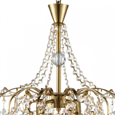 Фото Подвесная люстра Lumion Kristina 8243/6