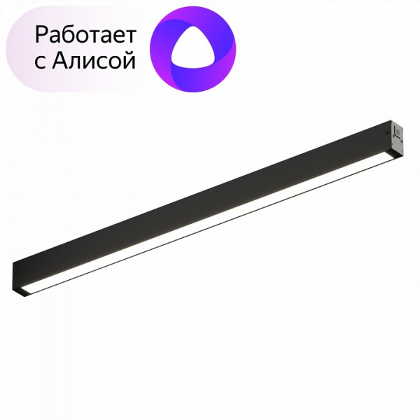 Фото Накладной светильник Denkirs DK8005 DK8005-BK