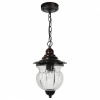 Открыть Подвесной светильник Feron Pl59 41172 Фото Подвесной светильник Feron Pl59 41172