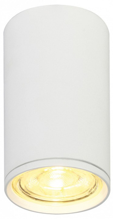 Фото Накладной светильник Escada 20001 20001SMU/01 SWH