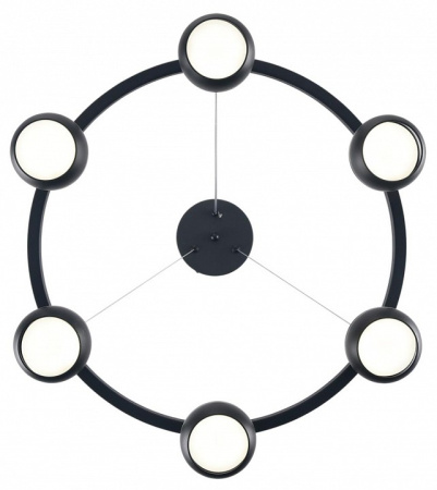 Фото Подвесная люстра Lumion Luazana 8242/6