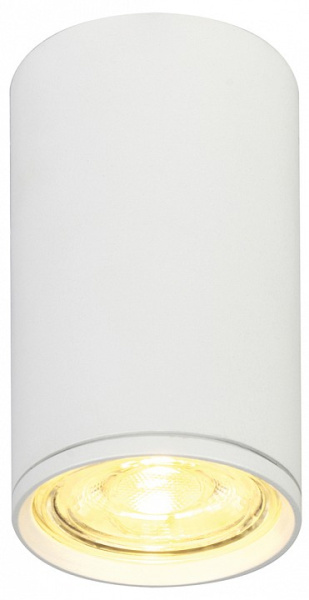 Фото Накладной светильник Escada 20001 20001SMU/01 SWH