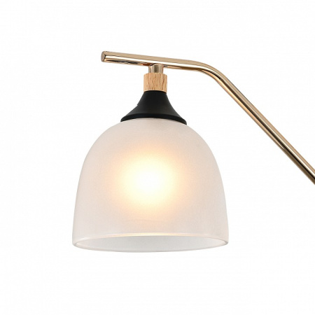 Фото Подвесная люстра Escada Actinidia 2123/3P