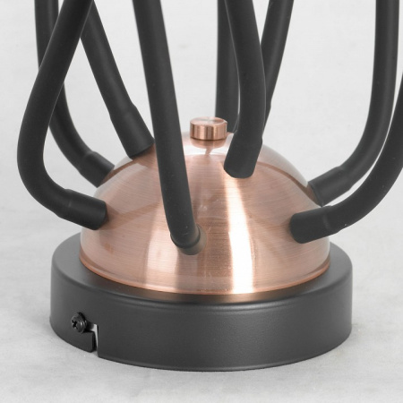 Фото Потолочная люстра Lussole Regina GRLSP-8247