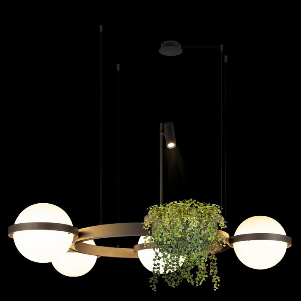 Фото Подвесная люстра Loft it Jardin 10121/4 Dark grey