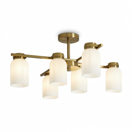 Фото Люстра на штанге Freya Kamelia FR5446PL-06BS