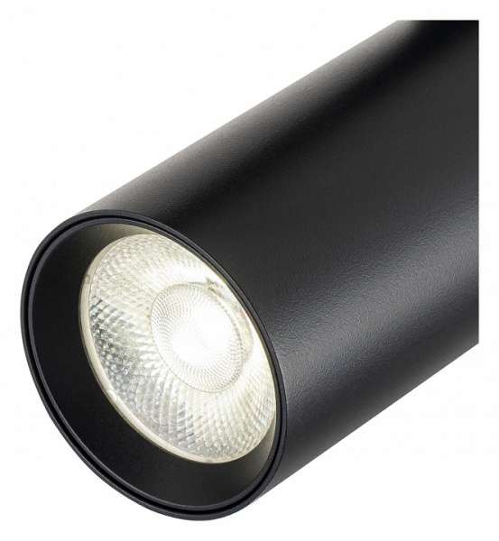 Фото Светильник на штанге Escada 20002 20002TRA/02LED SBK