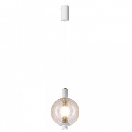 Фото Подвесной светильник Favourite Kolbe 4314-1P