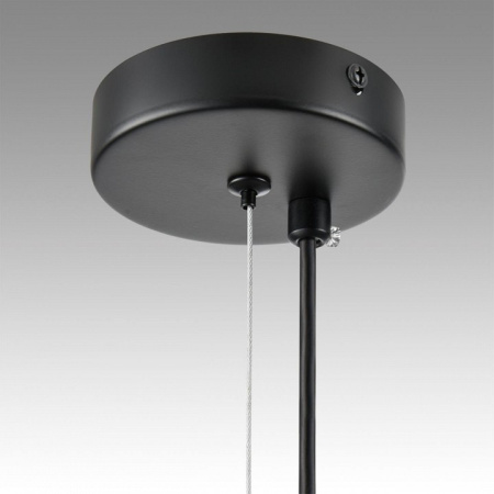 Фото Подвесной светильник Lumion Torina 8117/5