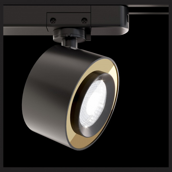 Фото Светильник на штанге Maytoni Track lamps TR023-1-12B4K