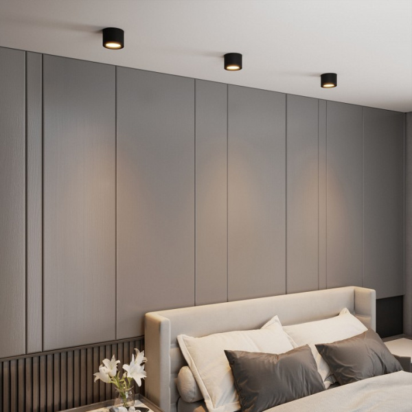 Фото Накладной светильник Elektrostandard DLR026 a063934