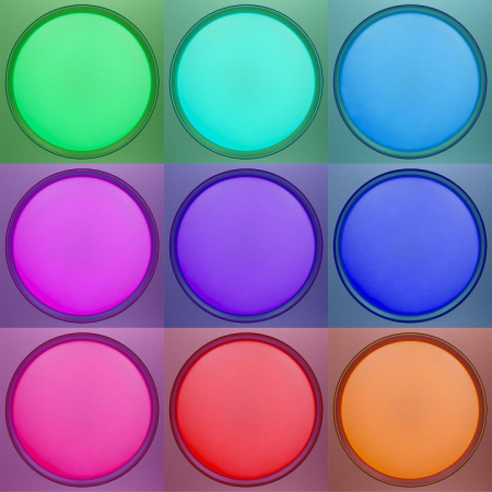 Фото Накладной светильник Citilux BOSS CL751451G