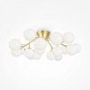 Фото Потолочная люстра Maytoni Dallas MOD545CL-20BS