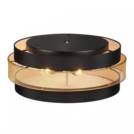 Фото Накладной светильник Lumion Animaisa 8003/6C